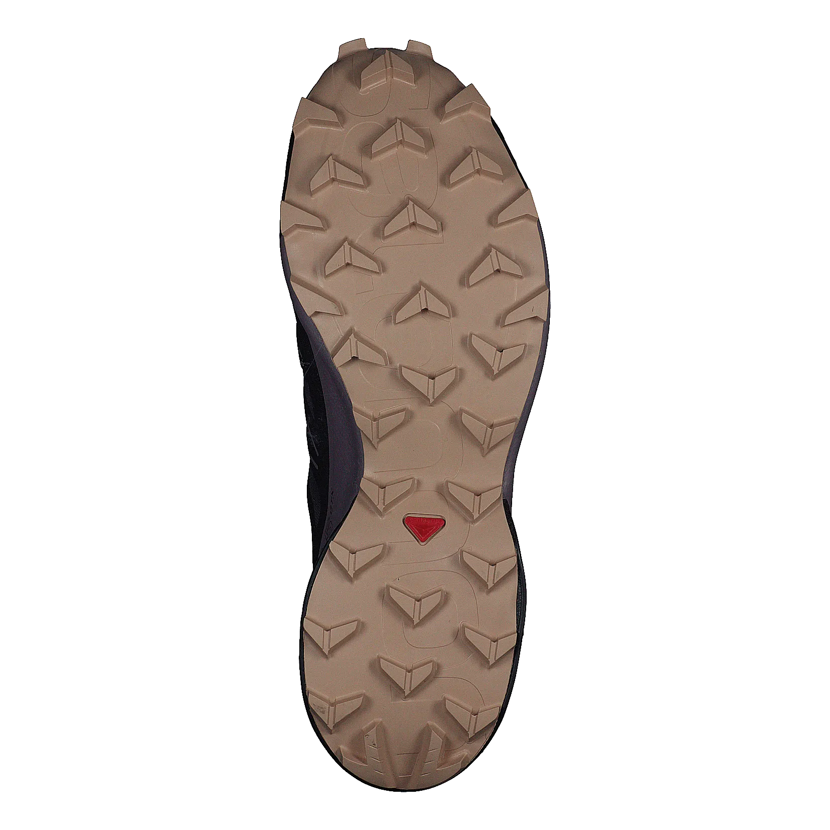 Speedcross 5 Gtx W Mysterioso/quail/sirocco